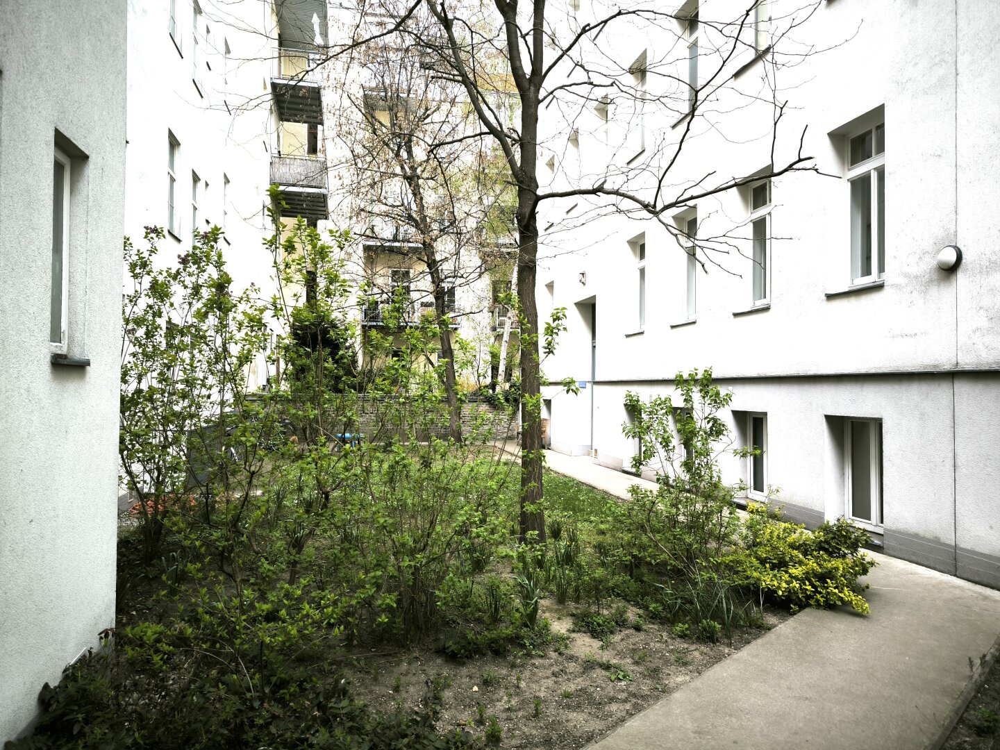Gartenseitig gelegene Altauwohnung in Ruhelage - Nähe Belvedere
